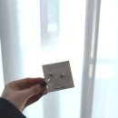 얼굴형 정리해주는 오벌 쉐입 귀걸이, 다나버튼 주얼리 데일리룩 후기
