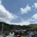 금산-52 | 대전근교 금산 애견동반 브런치카페 뮤지엄B