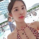 엘린 이미지