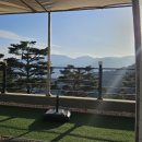 파인 힐링 이미지