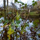 강변길걷다 이미지