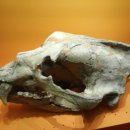 동방노래연습장 이미지