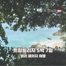 대화국제여행사 | 발리 패키지 여행 전문 트립빌리지 5박 7일 선택 이유 맛집 숙소 완벽 후기