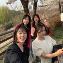포크벨유 이미지