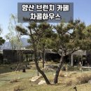 가산앞들 | 경남 양산 | '차콜하우스' 경치 예쁜 힐링하기 좋은 브런치 카페 추천