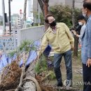 선사초등학교 이미지