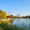 중앙공원 매점 앞 공중화장실 이미지