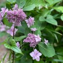 두근두근 그림책 놀이터 1기 | [우쥬 WOODS-YOU] 25년 6월호