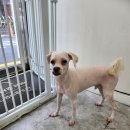 까미랑 몽이 이미지