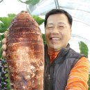 굿모닝농장2 이미지