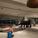 세탁예술가 | 트래블로지 님만 후기 장단점 정리 치앙마이 가성비숙소 세탁 배달서비스