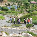 편백연 관광농원 이미지