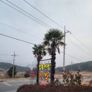 남쪽나라민박 이미지