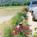 다온민박 이미지