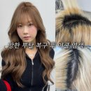 더예뻐진헤어 | 처참했던 망한 뿌탈, 여쿨 겨울 염색으로 더 예뻐진 후기 (아크미헤어)