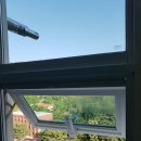 지엘리베리움 이미지