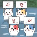 씨제이올리브영(주)신도림테크노마트점 | 9월 #1 8/29 ~ 오늘까지 알찬 개강 후 대학생 life