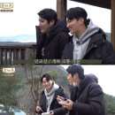 인투고