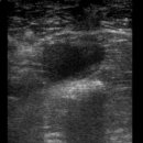 미르동물의료센터 이미지
