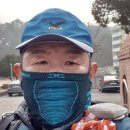 원주굽이길 원7코스 반계리은행나무길 이미지