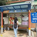 일부1리 | [의성] 노을밤 경북 촌캉스 숙소 버스정보 빙계리 의성여행 솔직후기