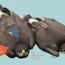 민정보통신 이미지