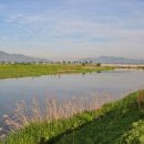 달천교 옆 이미지