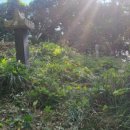 남해-157 이미지