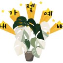 카페몬스테라 - 서구 청라에메랄드로 79 | 카페몬스테라