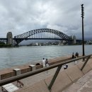 쇼핑어때 | 여기어때 투어 호주 시드니 패키지여행 4박6일 솔직 후기