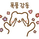꼬마네김밥