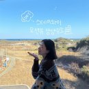 이와이 | 강원도 하조대 근처 오션뷰 양양숙소 스테이와이 이용 후기