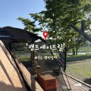 서강로 | 🏕️ C4-1. 대형견 3마리가 있는 힐링 캠핑장 강원도 영월 [캠프에이프릴] 1탄 캠핑장 후기