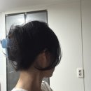 헤어안(Hair An) | FYEO 에포르efor. Arch Hair tie 집게핀 헤어클립 Classy Logo Hair Clip 헤어악세사리 마그넷 아카이브