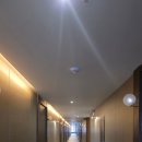 하운드호텔(와우) | 시흥 거북섬 혼자 가볼만한 곳 하운드 호텔 석양 보고 온 후기