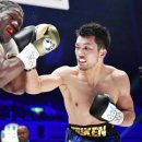 참피온 복싱클럽 이미지