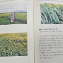 대월농업협동조합 중부일보