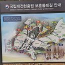 현충원로3 이미지