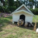 외돌개 나라 이미지