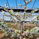 윤지농장 이미지