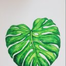 태권서관장 이미지