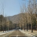 나를 지켜가는 인문학 동행 | [복직 교사 연수 ] 삶을 평화롭고 아름답게 만드는 존재경청