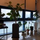 닥터요한 의원 이미지