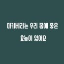 다우림식품 네이버블로그