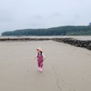 백합잡기체험 네이버블로그