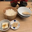 후쿠오카 | 오차즈케 맛집 [이나바쵸 잇케이] 내돈내산 솔직후기