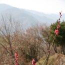 매화2공원 이미지