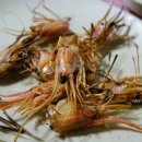 바다양푼이동태탕 이미지