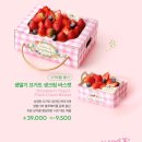 투베리