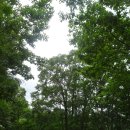 치악산둘레길 4코스 노구소길 이미지